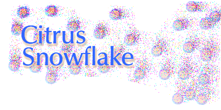 "Citrus Snowflake"